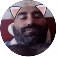 a man with a beard wearing cat ears on his face .