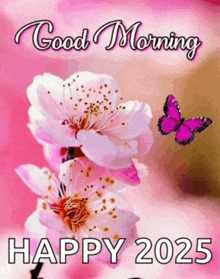 a pink butterfly is flying over a flower with the words good morning happy 2025