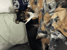 a dog laying under a blanket next to a pillow with a cowboys shirt on it