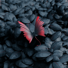 a butterfly with red wings is sitting on a pile of black leaves