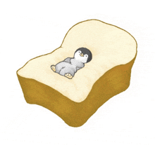 a penguin laying on a piece of bread