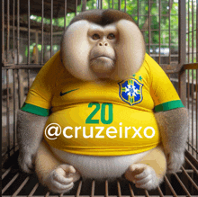 a monkey wearing a yellow shirt with the number 20 on it sits in a cage