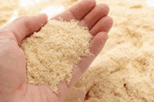 a person holding a handful of sand in their hand