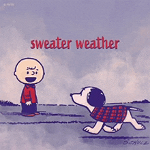 a cartoon of charlie brown and snoopy walking a dog with the caption sweater weather