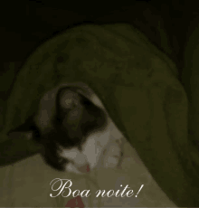 a cat laying under a green blanket with the words boa noite written on the bottom