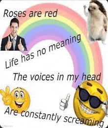 life has no meaning the voices in my head are constantly screaming .