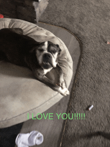 a dog is laying on a pillow with the words i love you written on the bottom