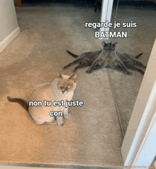 a cat sitting in front of a mirror with the words regarde je suis batman on it