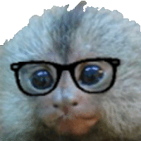 a close up of a monkey wearing glasses .