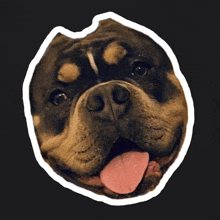 a sticker of a dog with its tongue out