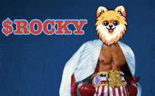 a boxer with a dog on his head and the word rocky on the bottom