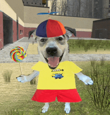 a dog wearing a yellow shirt with minions on it is holding a colorful lollipop