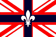 a red white and blue flag with a white fleur de lis on it