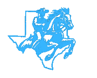 a cowboy is riding a horse in front of a texas map