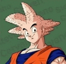 goku from dragon ball z has a strange haircut .