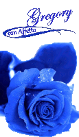 a blue rose with the words gregory con affetto on it