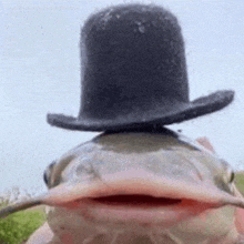 a fish wearing a top hat is looking at the camera with its mouth open .