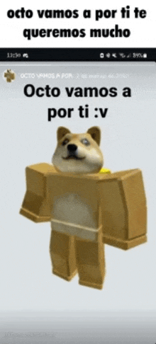 a picture of a doge with the words octo vamos a por ti : v