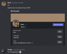 a screenshot of a discord conversation between ihud and pengu