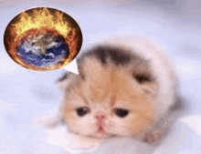 a cat with a speech bubble with a picture of the earth on it .