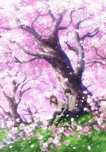 a man and a woman are sitting under a tree with cherry blossoms