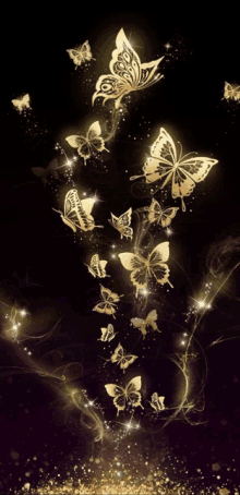 a bunch of butterflies are flying in the air on a black background