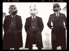 three men in suits with hippo masks on their heads with rup100 in the corner