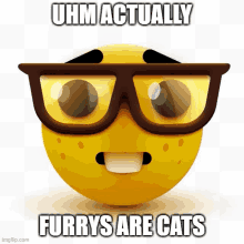 a yellow smiley face with glasses and the words " uhm actually furrys are cats "