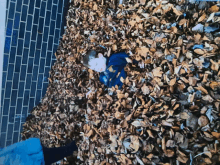 a boy laying in a pile of leaves with a brick wall in the background