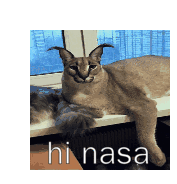 a cat is laying on a window sill with the words hi nasa written on the bottom