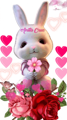 a picture of a bunny holding a flower with the name anita cruz