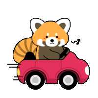 a red panda is driving a red car