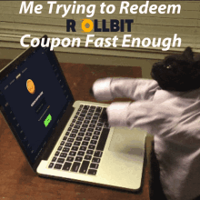 a cat is typing on a laptop with the words me trying to redeem rollbit coupon fast enough on the bottom