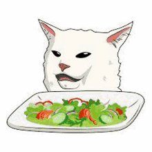 a white cat is eating a salad on a plate .