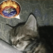 a cat is sleeping next to a speech bubble with a picture of the earth in it