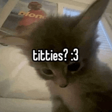 a close up of a kitten with the words titties : 3 written on it