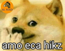 a doge with the words amo eca hikz on it .