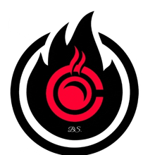 a logo for a company called bs has a red circle with a flame inside of it