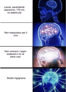 a diagram of a person 's brain with the words non impazzisco per il vino on the bottom