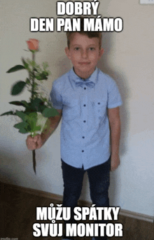 a young boy in a blue shirt holds a rose in his hand and says dobry den pan mamo