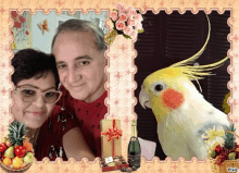 a picture of a man and woman and a parrot with pixiz written on the bottom right