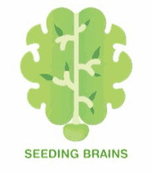 a logo for seeding brains shows a brain with leaves growing out of it .