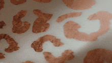 a close up of a leopard print pattern on a white surface