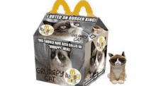 a mcdonald 's happy meal box with grumpy cat on it