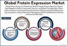 an advertisement for a global protein expression market shows a diagram