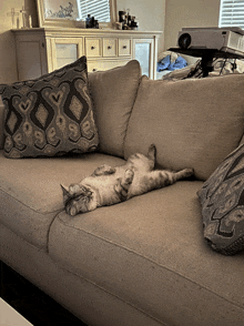 a cat is laying on its back on a couch with a pillow that has the letter o on it