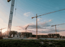 a construction site with a lot of cranes and a blue sky