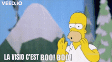 homer simpson says " la visio c'est boo ! boo ! " in front of a snowy mountain