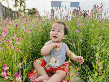 a baby is sitting in a field of purple flowers and wearing a shirt that says ' i love you ' on it