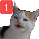 a calico cat with a red square with the number one on it